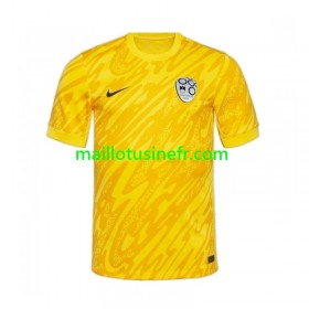 Maillot de Foot Slovénie Gardien Domicile UEFA EURO 2024